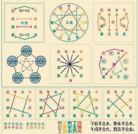 巳卯合|十二地支生、克、刑、冲、合、化的关系